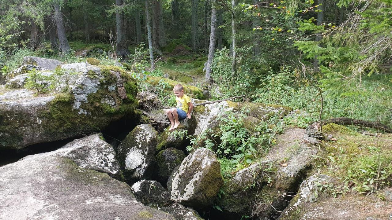 Ferienhaus Buxbaum Arbesbach Eksteriør billede