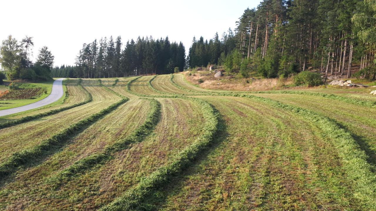 Ferienhaus Buxbaum Arbesbach Eksteriør billede