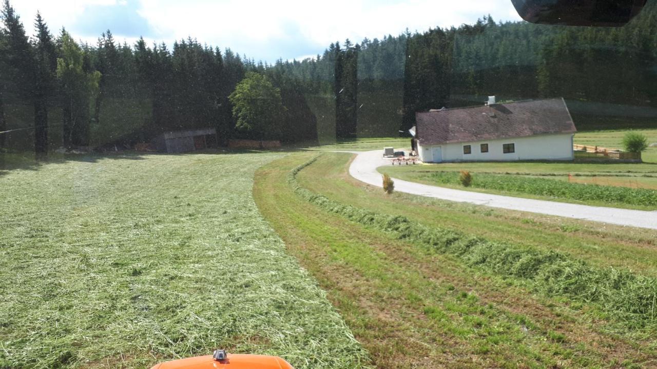 Ferienhaus Buxbaum Arbesbach Eksteriør billede